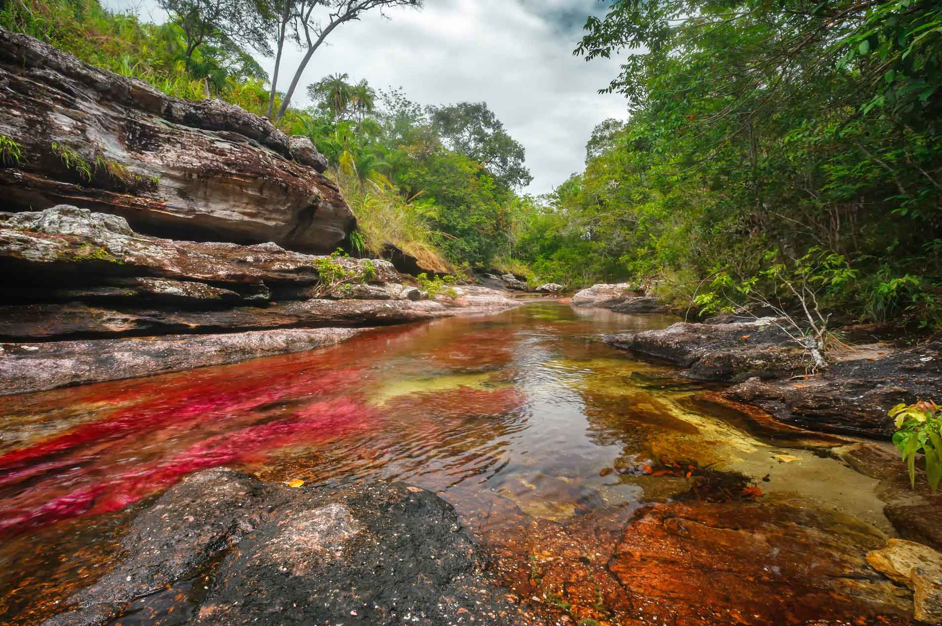<b>Caño Cristales</b><br>ES REALISMO MÁGICO