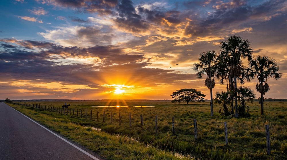Impulsando el desarrollo sostenible de la Orinoquía colombiana.